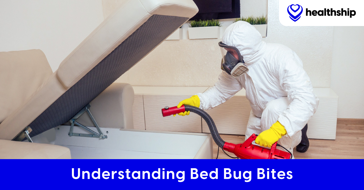 Bed Bug Bites: Symptoms, Treatments & Prevention Tips - Healthship